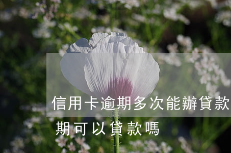 信用卡逾期多次能辦貸款嗎(有兩次信用卡逾期可以貸款嗎)