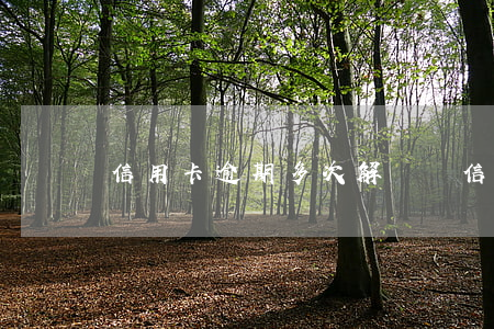 信用卡逾期多次解凍嗎(信用卡逾期多次解凍嗎)
