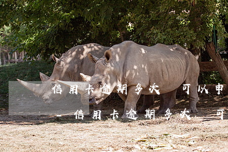 信用卡逾期多次還可以申請(qǐng)嗎-信用卡逾期多次還可以申請(qǐng)嗎貼吧