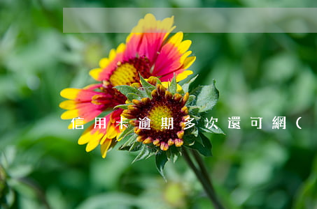 信用卡逾期多次還可網(wǎng)貸嗎