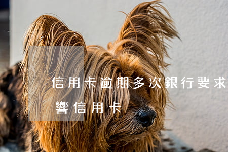 信用卡逾期多次銀行要求加利息(逾期一次影響信用卡)