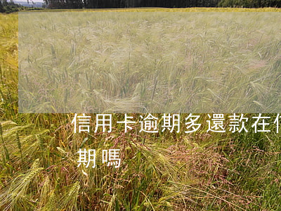 信用卡逾期多還款(在信用卡寬限期還款算逾期嗎)