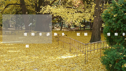 信用卡逾期多還能解凍嗎(信用卡逾期多還能解凍嗎)
