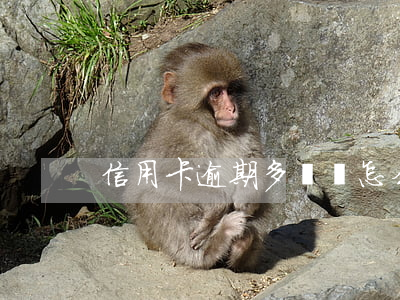 信用卡逾期多還錢怎么辦（信用卡逾期多還錢）