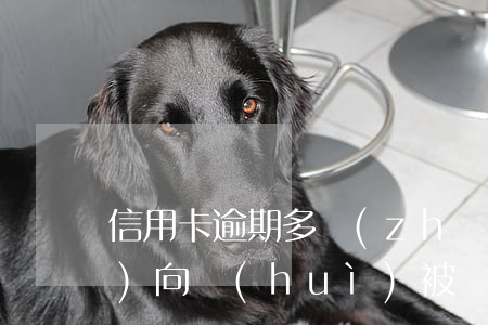 信用卡逾期多長(zhǎng)時(shí)向會(huì)被鎖卡嗎(什么情況下信用卡會(huì)被鎖)