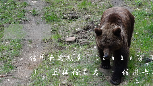 信用卡逾期多長(zhǎng)時(shí)間上征信黑名單-信用卡逾期多長(zhǎng)時(shí)間上征信黑名單啊