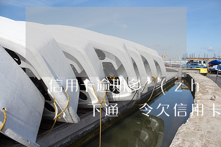 信用卡逾期多長(zhǎng)時(shí)間下通緝令(欠信用卡會(huì)被通緝嗎)