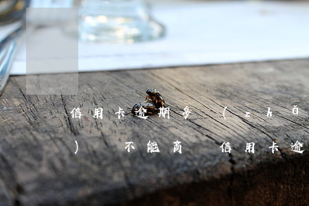 信用卡逾期多長(zhǎng)時(shí)間不能商貸 信用卡 逾期 多久