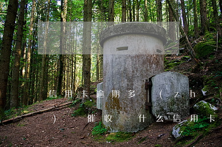 信用卡逾期多長(zhǎng)時(shí)間催收(為什么信用卡逾期三個(gè)月后很少催收電話)