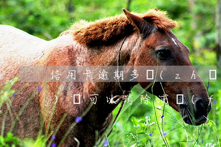 信用卡逾期多長(zhǎng)時(shí)間可以消除浦發(fā)-信用卡逾期多長(zhǎng)時(shí)間可以消除浦發(fā)銀行