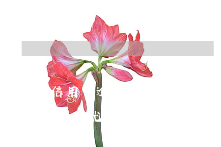 信用卡逾期多長(zhǎng)時(shí)間就去坐牢了(信用卡逾期多長(zhǎng)時(shí)間就去坐牢了)