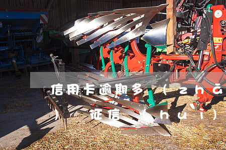 信用卡逾期多長(zhǎng)時(shí)間征信會(huì)黑(逾期不還會(huì)不會(huì)征信永遠(yuǎn)黑)