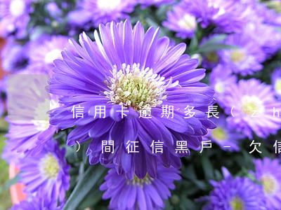 信用卡逾期多長(zhǎng)時(shí)間征信黑戶-欠信用卡多久上征信黑名單