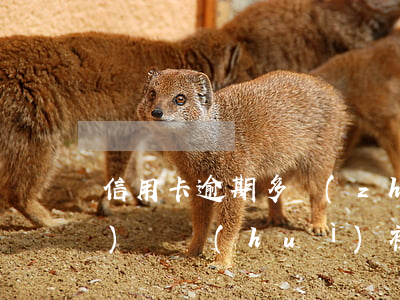 信用卡逾期多長(zhǎng)時(shí)間會(huì)被法院執(zhí)行-“信用卡逾期多久會(huì)被起訴”