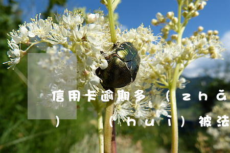 信用卡逾期多長(zhǎng)時(shí)間會(huì)被法院執(zhí)行-信用卡逾期多長(zhǎng)時(shí)間會(huì)被法院執(zhí)行呢