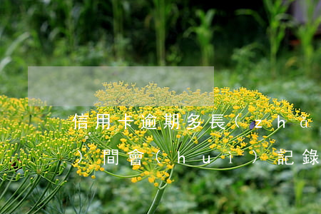 信用卡逾期多長(zhǎng)時(shí)間會(huì)記錄黑名單-信用卡逾期多長(zhǎng)時(shí)間會(huì)記錄黑名單呢