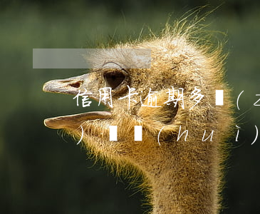 信用卡逾期多長(zhǎng)時(shí)間會(huì)起訴我家人-信用卡逾期多長(zhǎng)時(shí)間會(huì)起訴我家人呢