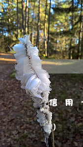 信用卡逾期多長(zhǎng)時(shí)間沒有事(信用卡逾期多長(zhǎng)時(shí)間沒有事)
