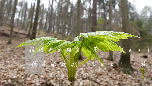信用卡逾期多長不還會(huì)被通緝(欠信用卡逾期會(huì)被拘留嗎)