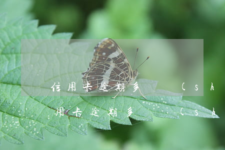 信用卡逾期多長時(shí)間不能使用(信用卡逾期多長時(shí)間不能使用)