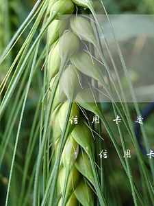 信用卡逾期多長時(shí)間不能做高鐵-信用卡20000逾期一年多了,還可以坐飛機(jī)嗎?