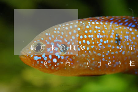 信用卡逾期多長時(shí)間可以協(xié)商個(gè)性化分期-信用卡逾期多長時(shí)間可以協(xié)商個(gè)性化分期還款
