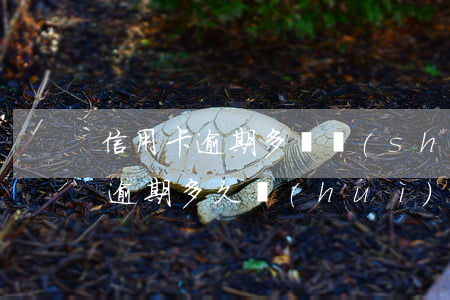 信用卡逾期多長時(shí)間坐牢(信用卡逾期多久會(huì)坐牢金額多大會(huì)坐牢)