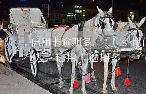 信用卡逾期多長時(shí)間會起訴你家人-信用卡逾期多長時(shí)間會起訴你家人呢