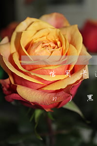 信用卡逾期多長時(shí)間會進(jìn)黑名單(2018年信用卡逾期多久消除黑名單)