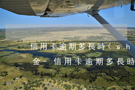 信用卡逾期多長時(shí)間還款先扣本金-信用卡逾期多長時(shí)間還款先扣本金還是利息