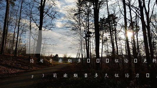 信用卡逾期多長時間征信會更新(當(dāng)前逾期要多久征信才會更新)