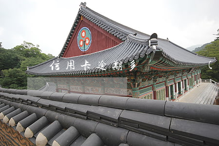 信用卡逾期多長時間復(fù)原