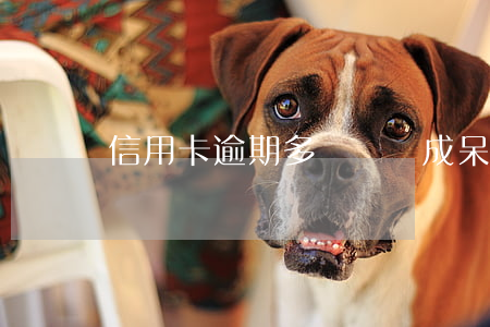 信用卡逾期多長時間成呆賬