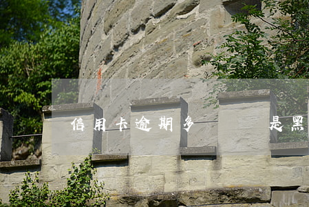 信用卡逾期多長時間是黑戶(逾期多久變黑戶)