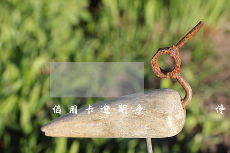信用卡逾期多長時間會停息(欠信用卡多久)