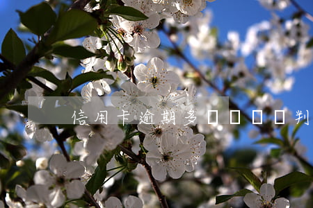 信用卡逾期多長時間會判刑(信用卡 逾期多久)
