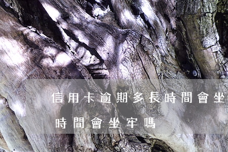 信用卡逾期多長時間會坐牢(信用卡逾期多長時間會坐牢嗎)