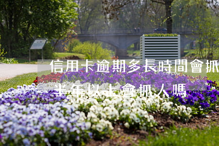 信用卡逾期多長時間會抓人(信用卡7萬逾期半年以上 會抓人嗎)