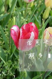 信用卡逾期多長時間會有違約金-信用卡逾期多長時間會有違約金呢