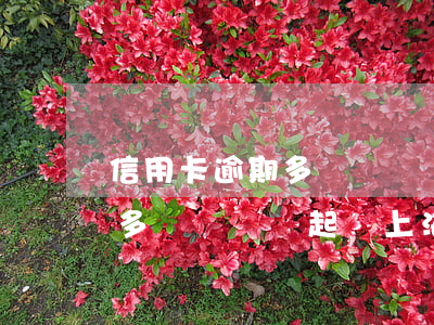 信用卡逾期多長時間會起訴上海(信用卡逾期多長時間會起訴上海公司)