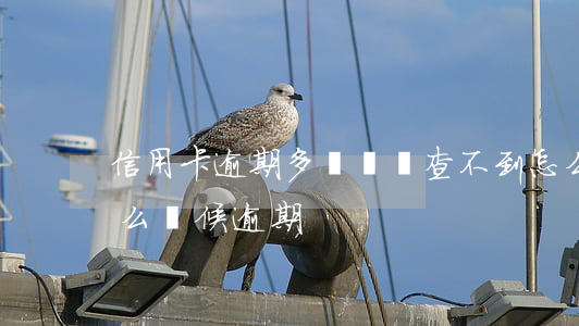 信用卡逾期多長時間查不到(怎么查信用卡什么時候逾期)