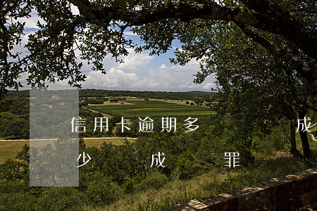 信用卡逾期多長時間構成詐騙(信用卡逾期多少錢構成詐騙罪)