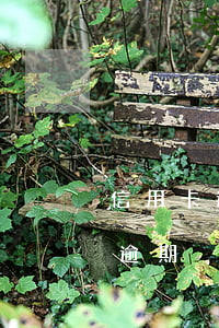 信用卡逾期多長時間算不良率(多久算信用卡逾期)