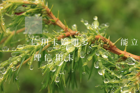 信用卡逾期多長時間能立案(逾期多久可以辦理信用卡)