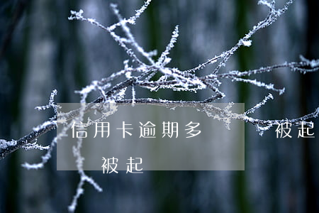 信用卡逾期多長時間被起訴(“信用卡逾期多久會被起訴”)