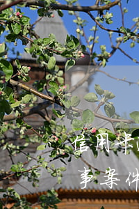 信用卡逾期多長時間轉(zhuǎn)為刑事案件-信用卡逾期多長時間轉(zhuǎn)為刑事案件了
