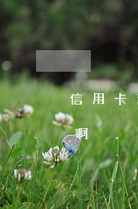 信用卡逾期多長時間黑戶6(逾期多久是黑戶啊)
