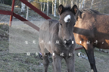 信用卡逾期多長會封卡(2021年信用卡逾期多久會被起訴)