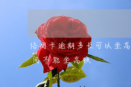 信用卡逾期多长可以坐高铁(征信逾期多长时间不能坐高铁)