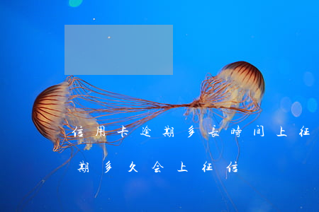 信用卡逾期多长时间上征信影响(信信用卡逾期多久会上征信)
